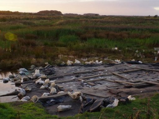 image of the excavation site at Lunt Meadows