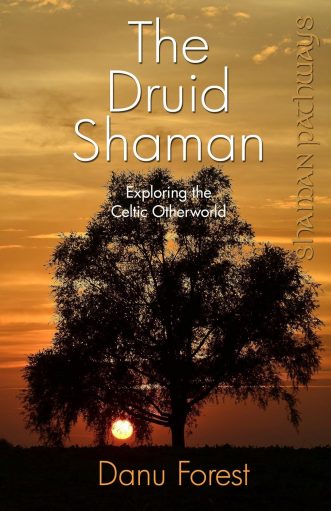 image shows the cover of The Druid Shaman